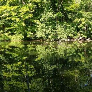 Meet your Posher, Dominic